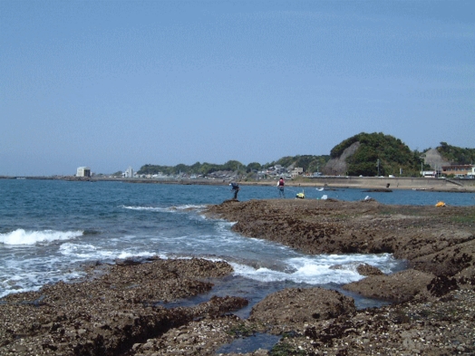 ☆ゆったり和室占領プラン♪